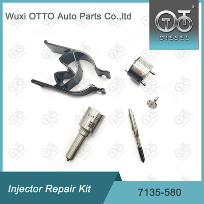 7135-580 Комплект ремонта Delphi Injector для инжектора R00001D