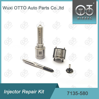 7135-580 Комплект ремонта Delphi Injector для инжектора R00001D