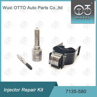 7135-580 Комплект ремонта Delphi Injector для инжектора R00001D