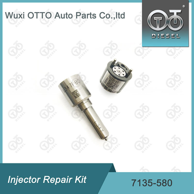 7135-580 Комплект ремонта Delphi Injector для инжектора R00001D