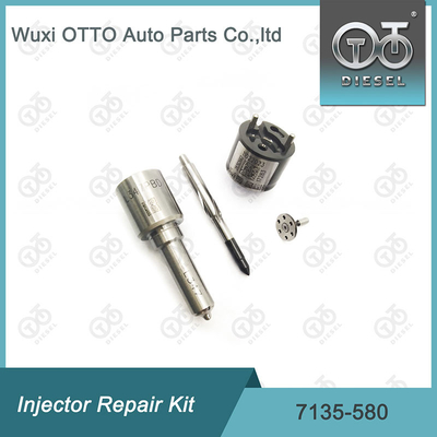 7135-580 Комплект ремонта Delphi Injector для инжектора R00001D